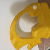ماهی