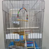 قفس پرنده