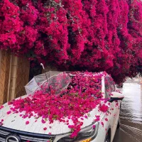 سیم کارت کد ۵ بدون مزاحم