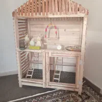 قفس عروس هلندی
