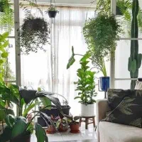 آپارتمان دو خواب .75 متر نامجو .کوهسنگی