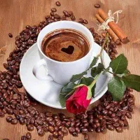 فال تاروت  و قهوه و آموزش تضمینی