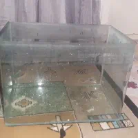 اکواریوم و پمپ هوا
