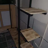 رگال
