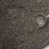 سبزی خورشتی