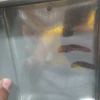 منقل