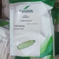 کدو دارین امریکا و خیار خطی  نوبل هلند