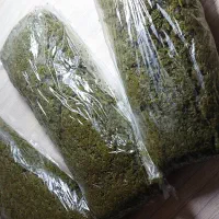 سبزی قورمه سبزی فریزری