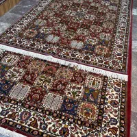 این همه جفت شش متری بختیاری