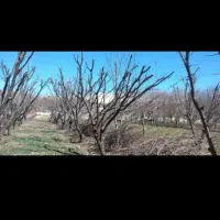 خدمات باغبانی وباغ اسپار