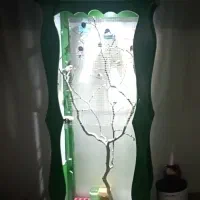 قفس پرنده