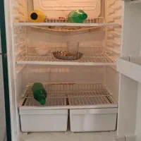 یخچال|یخچال و فریزر|رامشیر, |دیوار