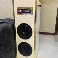ضبط و باند پایونیر نو نو نو