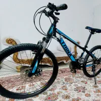 دوچرخه ترینکس