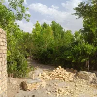 باغچه|فروش دفتر صنعتی، کشاورزی، تجاری|تهران, درختی|دیوار