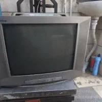 تلویزیون
