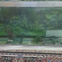 اکواریوم