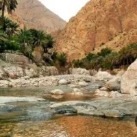 زمین باغ داری همراه با آب فروشی در زرکان