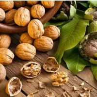 گردو بومی درجه یک
