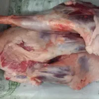 گوشت بره