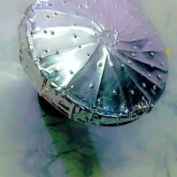مصری عرب.گنبدیمتخصص تنباکو کافه.