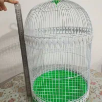 قفس پرنده