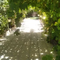 فروش باغ لاکچری خیابان باغ فردوس اصفهان