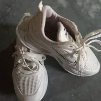 کفش اسپورت