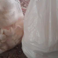 پوست تخم مرغ