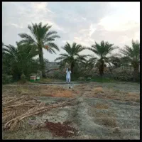 فروش-تجاری-مسکونی-دوکله