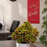 رهن-و-اجاره-3-خواب-کاشانی