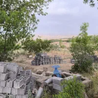 زمین باغ