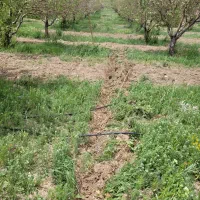 ۲ قطعه ۵۰۰ متری زمین باغی در سیمین ذاغه