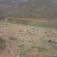 زمین-کشاورزی-دیم-قولنامه