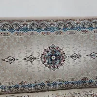 دو جفت‌پشتی نو