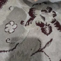 نان خشک