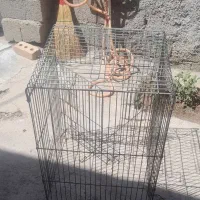 قفس بزرگه پرنده