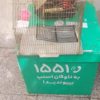 براکت باکس و۲ عدد قفس