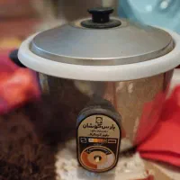 پلوپز نو ۱۲نفره