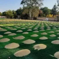فروش چسب چمن واقلام ان..