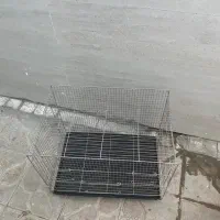 قفس