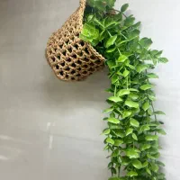 سبد فانتزی رافیا سایز مینی