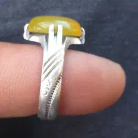 شرف الشمس