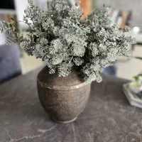 گلدان