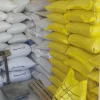 نمک|لوازم جانبی حیوانات|کبودرآهنگ, |دیوار