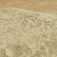 کاه باقله