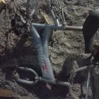 تنه دوچرخه