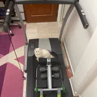 تردمیل استرانگ ماستر تایوانی اصل