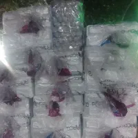 انواع ظروف یکبارمصرف