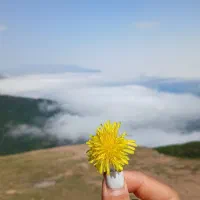 سفر شمال